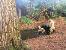 Sherborne Girls see Sandhurst training in action